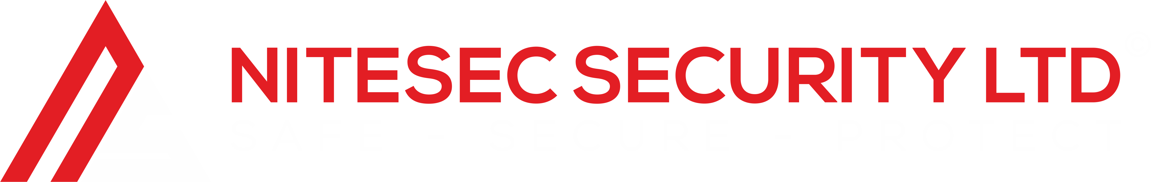 NiteSec Security